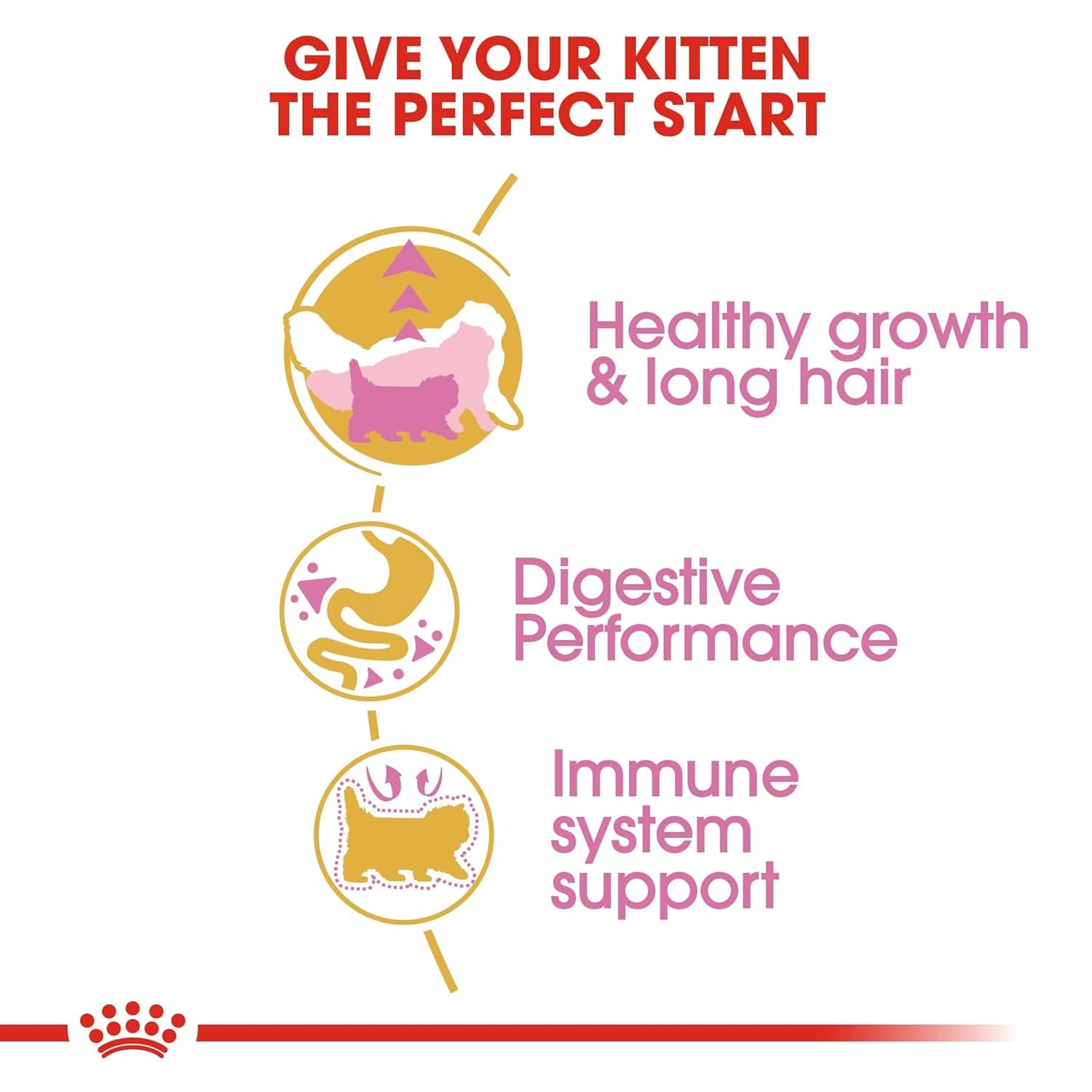 Royal Canin Persian Kitten Dry Cat Food, 2Kg