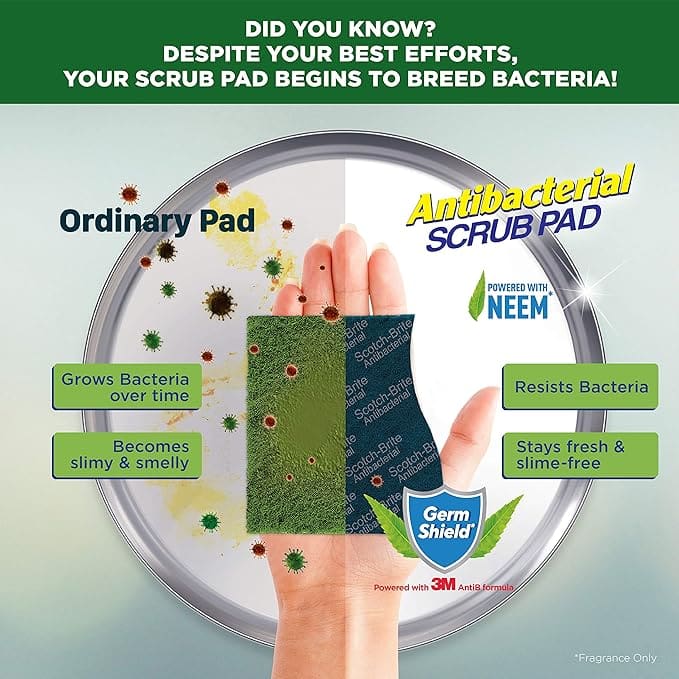Scotch Brite Scrub Pad - Anti- Bacterial, Regular, 1 pc