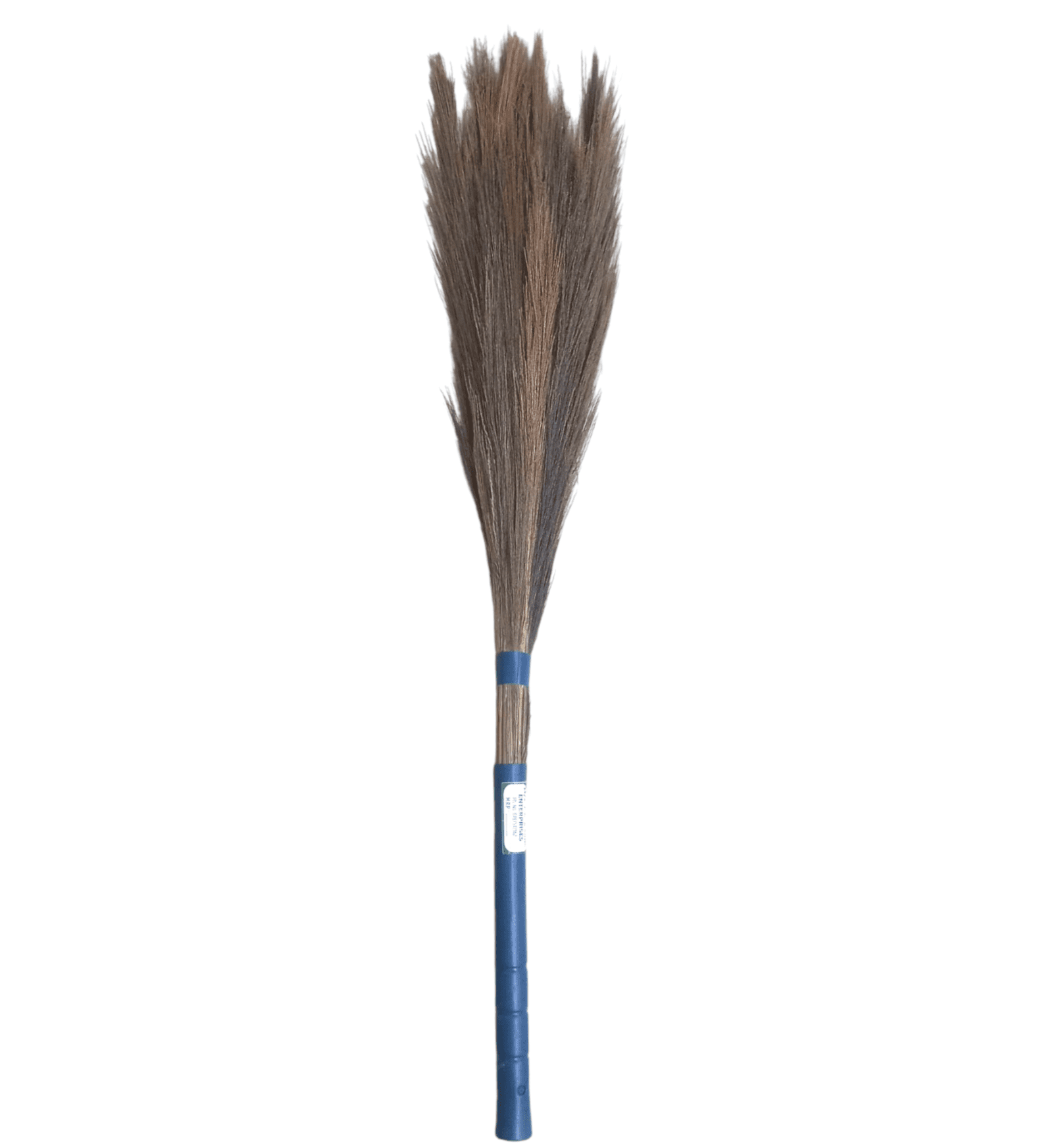 Hill Grass Broom, 1N