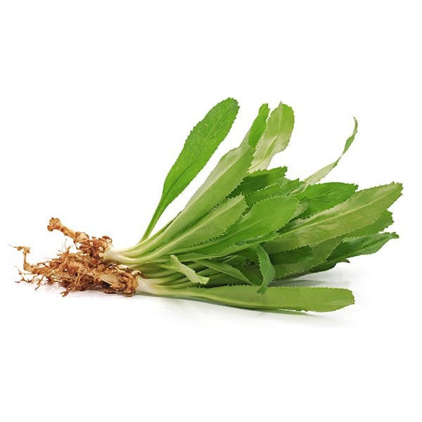 Local Coriander Leaf, 2 Bunch