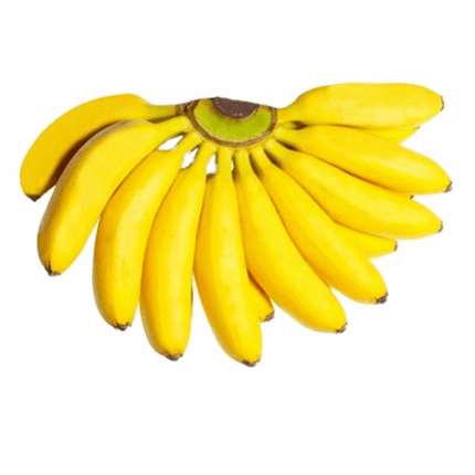 Chini Champa Banana