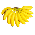 Chini Champa Banana