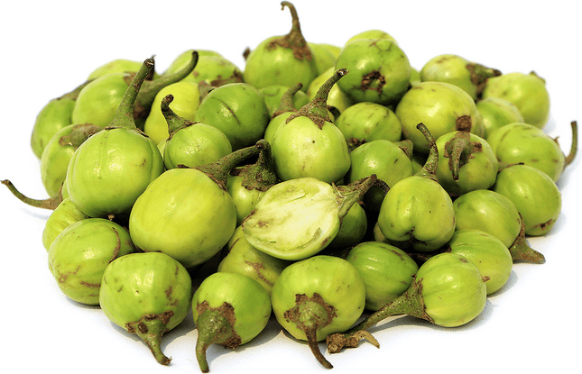 Scarlet eggplant (Gilo/Likok), 1kg