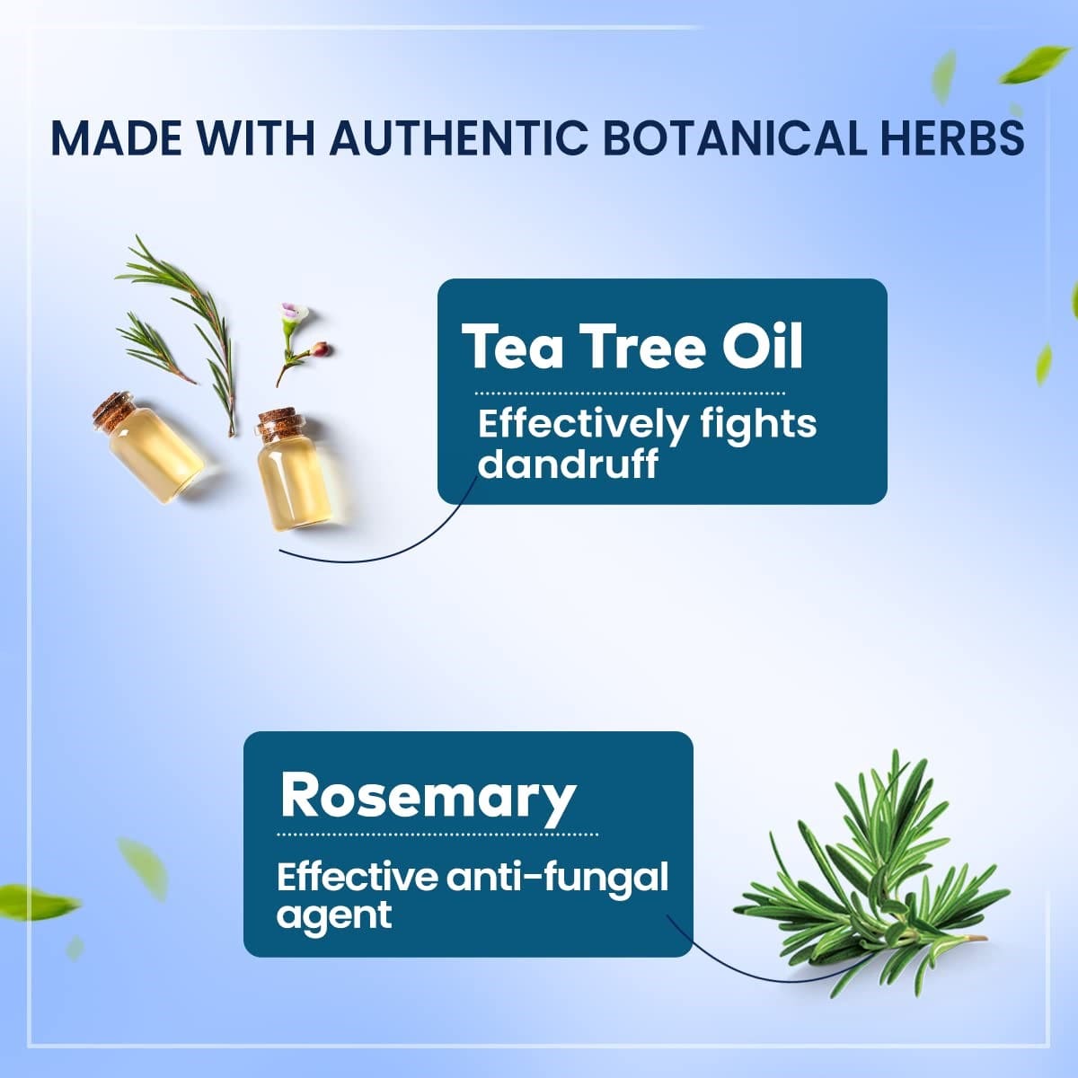 Himalaya Anti-Dandruff Hair Oil with Tea Tree and Rosemary, 200ml