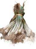 Chinese Onion, 1 Bunch