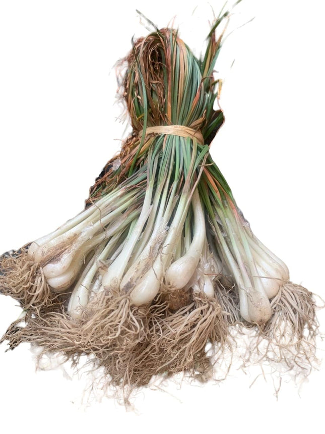 Local Chinese Onion, 1 Bunch