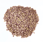 Kiphire Kholar (Rajma), 1Kg