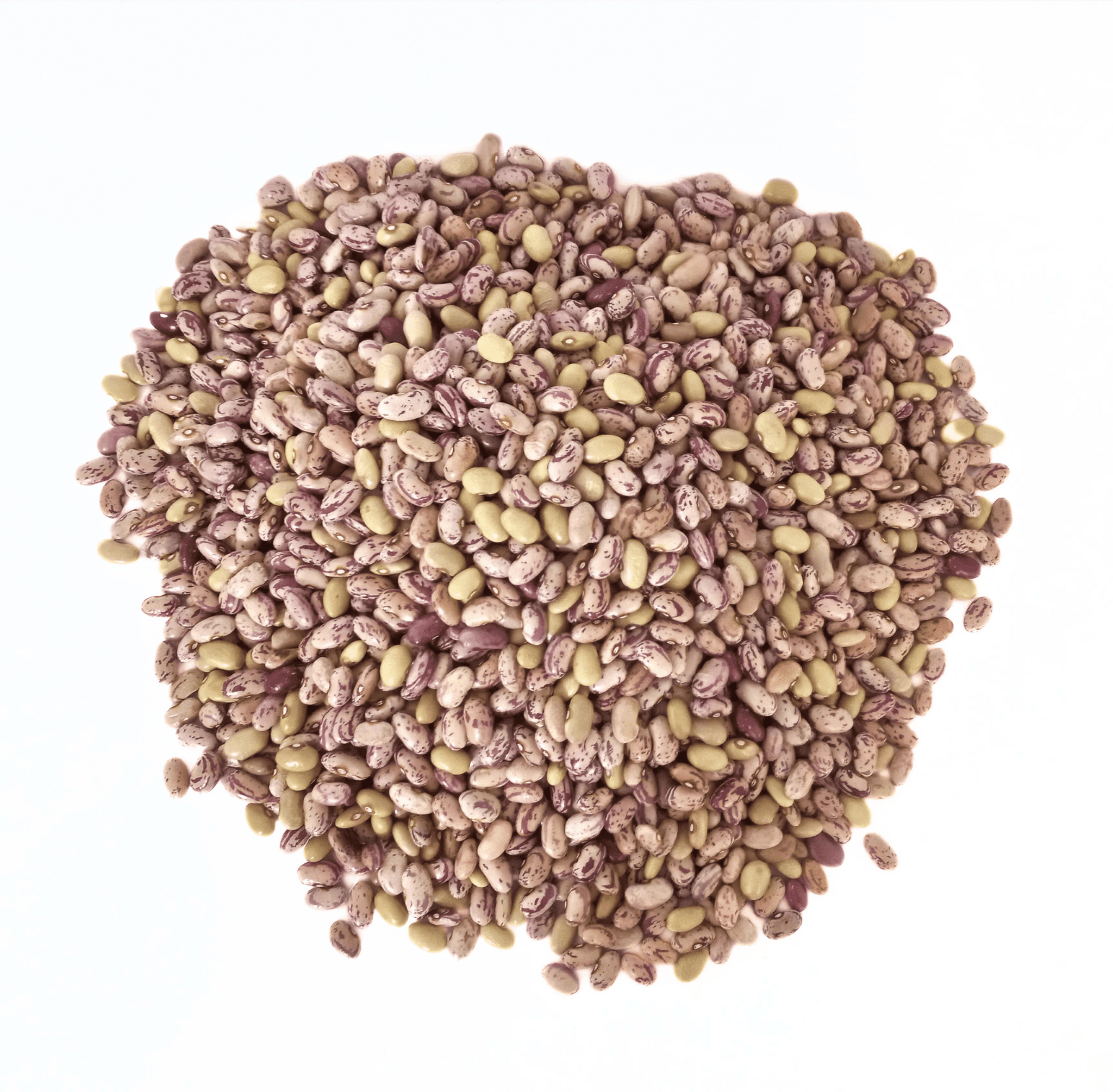 Kiphire Kholar (Rajma), 1Kg