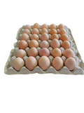 Local Brown Egg, 1 set (30 pc)