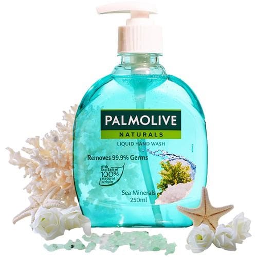 Palmolive Naturals Liquid Hand Wash, 250 ml
