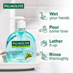 Palmolive Naturals Liquid Hand Wash, 250 ml