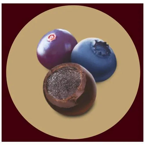 Hershey's Exotic Dark Blueberry & Acai, 100g