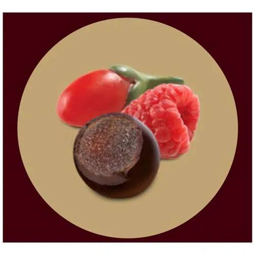 Hershey's Exotic Dark Raspberry & Goji, 100g