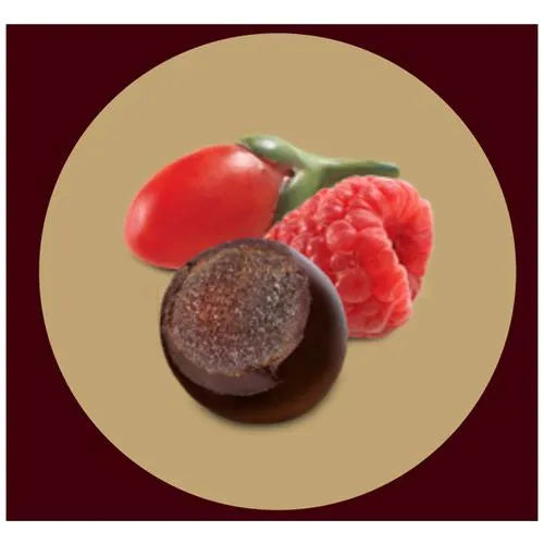 Hershey’s Exotic Dark Raspberry & Goji, 33.3g
