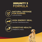 Pedigree Pro Mother & Pup Starter Large Breed, Dry Dog Food, Expert Nutrition for Pregnant/Lactating Mothers & Pups (3-12 Weeks), 1.2Kg