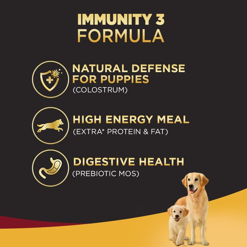Pedigree Pro Mother & Pup Starter Large Breed, Dry Dog Food, Expert Nutrition for Pregnant/Lactating Mothers & Pups (3-12 Weeks), 1.2Kg