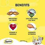 Temptations, Tasty Chicken Flavour, 85g