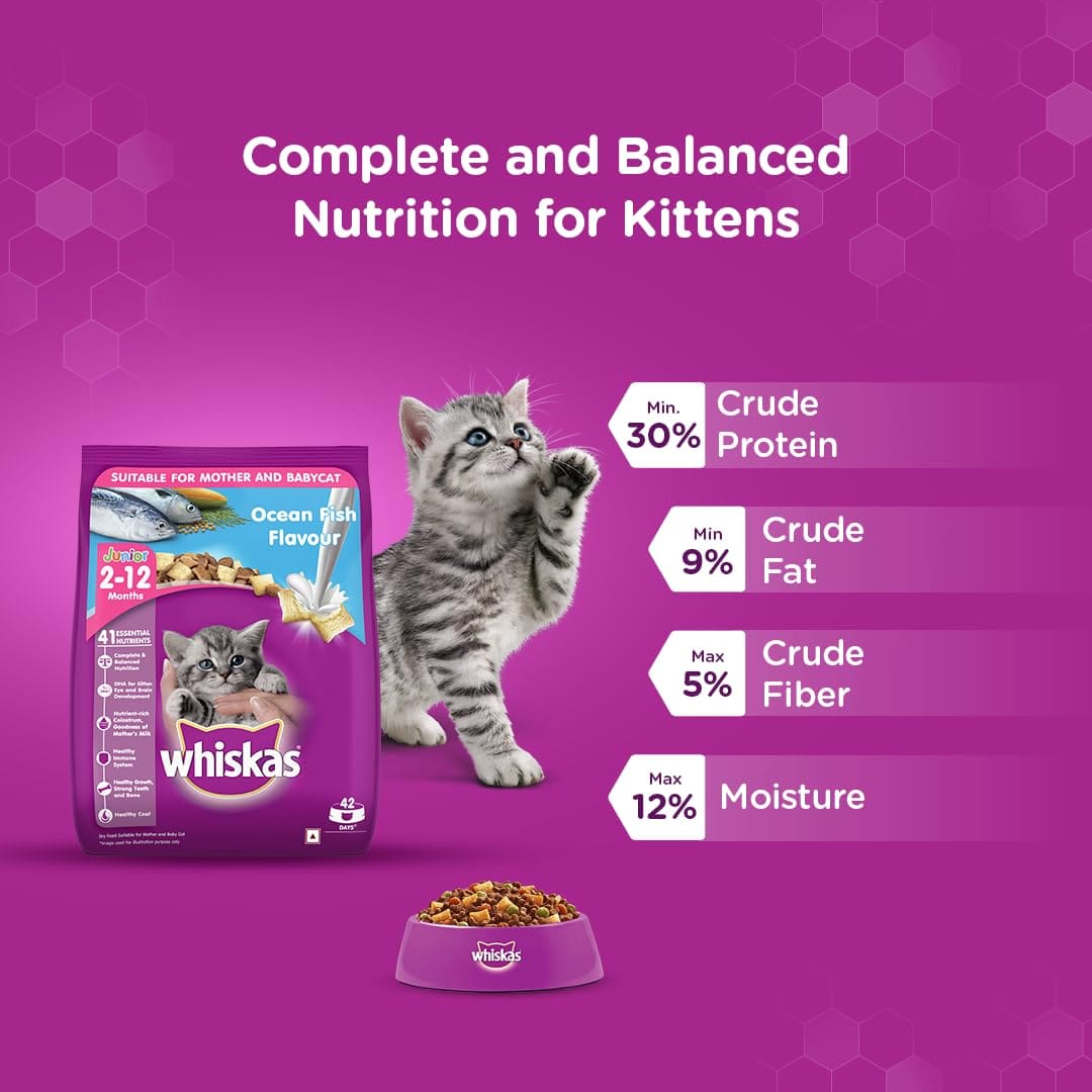 Whiskas Kitten (2-12 months), Ocean Fish Flavour, 3kg