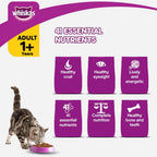 Whiskas Adult (1+ Years), Chicken Flavour, 3kg