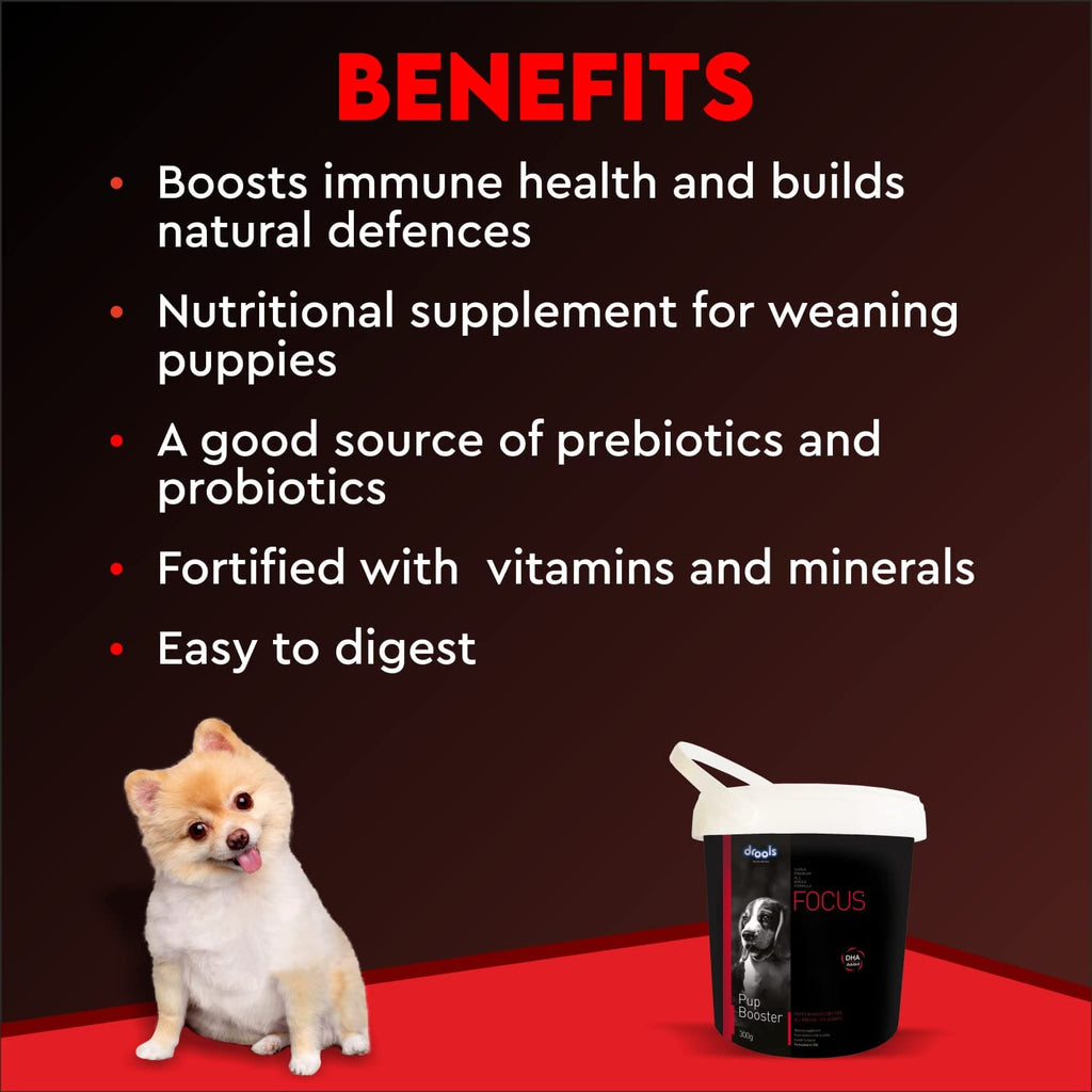 Drools, Focus Pup Booster, Puppy Weaning Diet for All Breeds, 300g