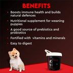 Drools, Focus Pup Booster, Puppy Weaning Diet for All Breeds, 300g