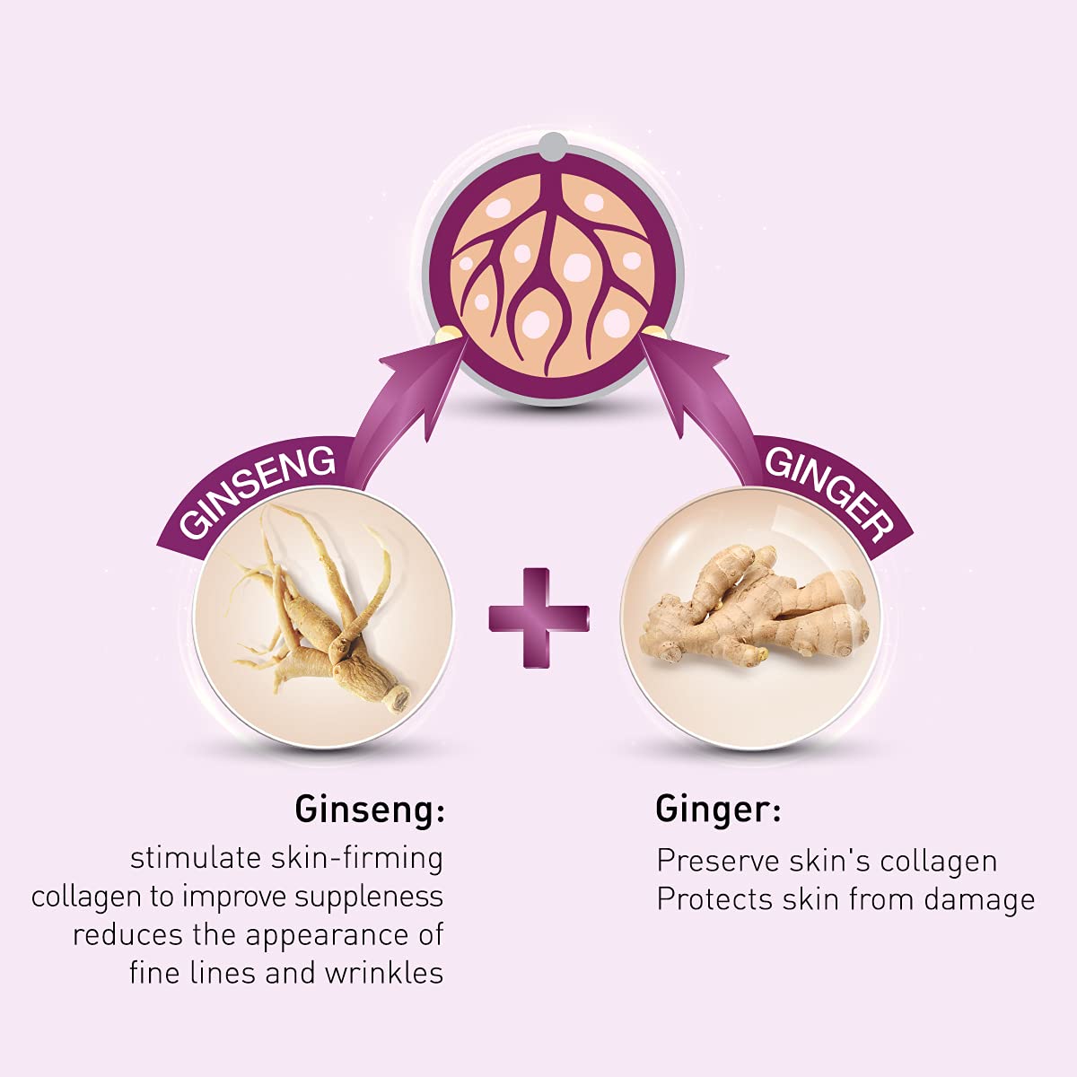 Lotus Herbals YouthRx Anti-Ageing Nourishing Night Creme, 50g