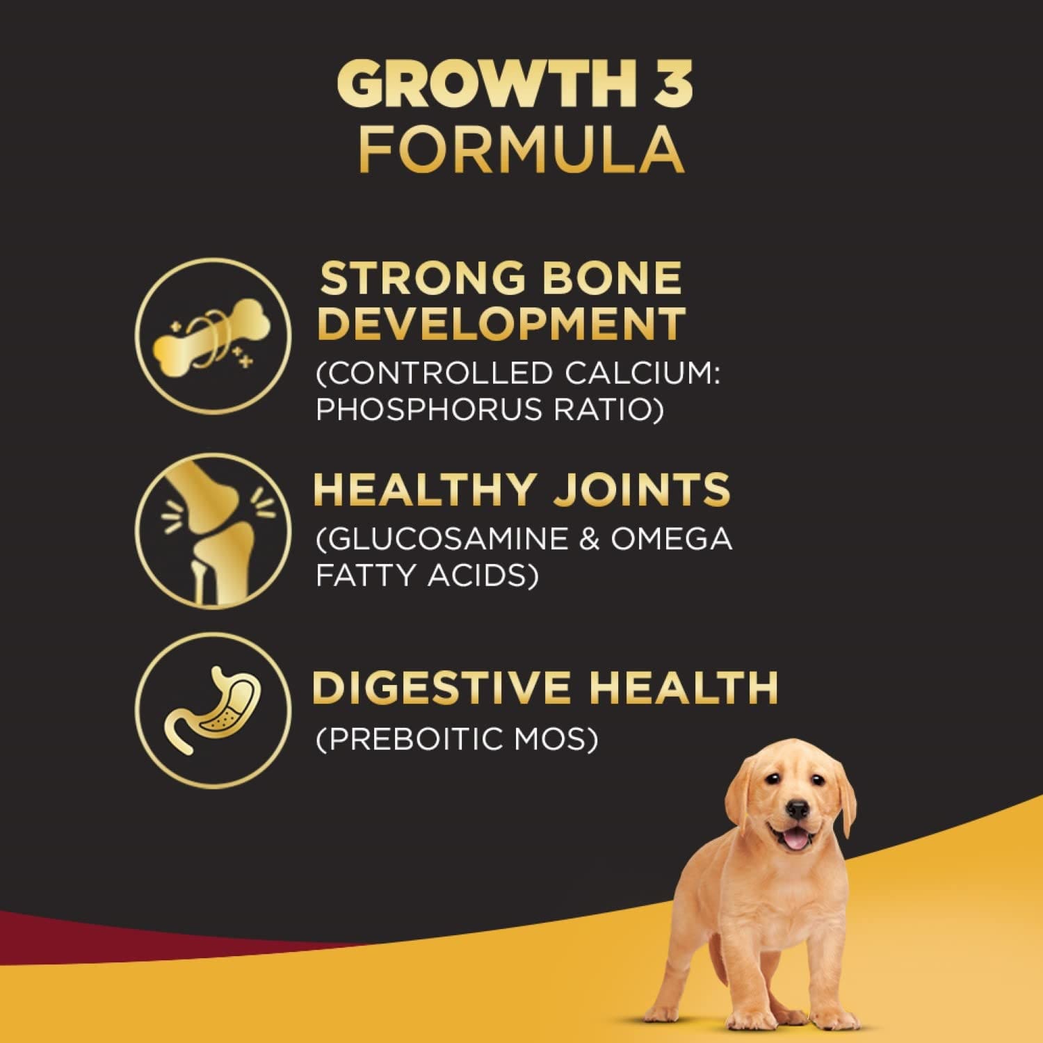 Pedigree Pro Puppy, Large Breed (3-18 Months) Dry Dog Food, 3Kg