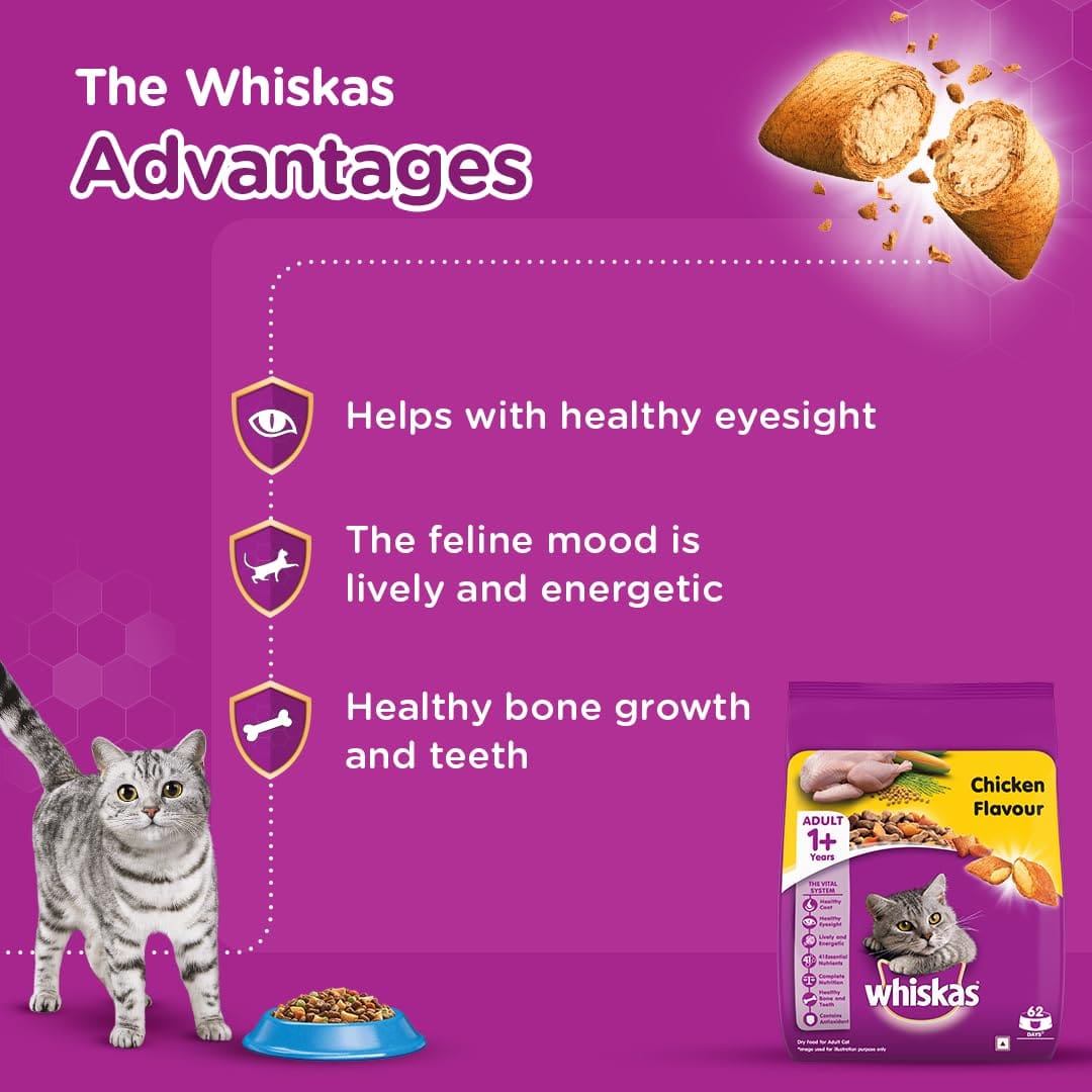 Whiskas Adult (+1 year) Dry Cat Food, Chicken Flavour, 1.2kg