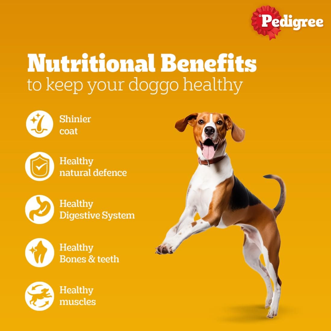 Pedigree Adult Dry Dog Food, Chicken & Vegetables, 2.8kg