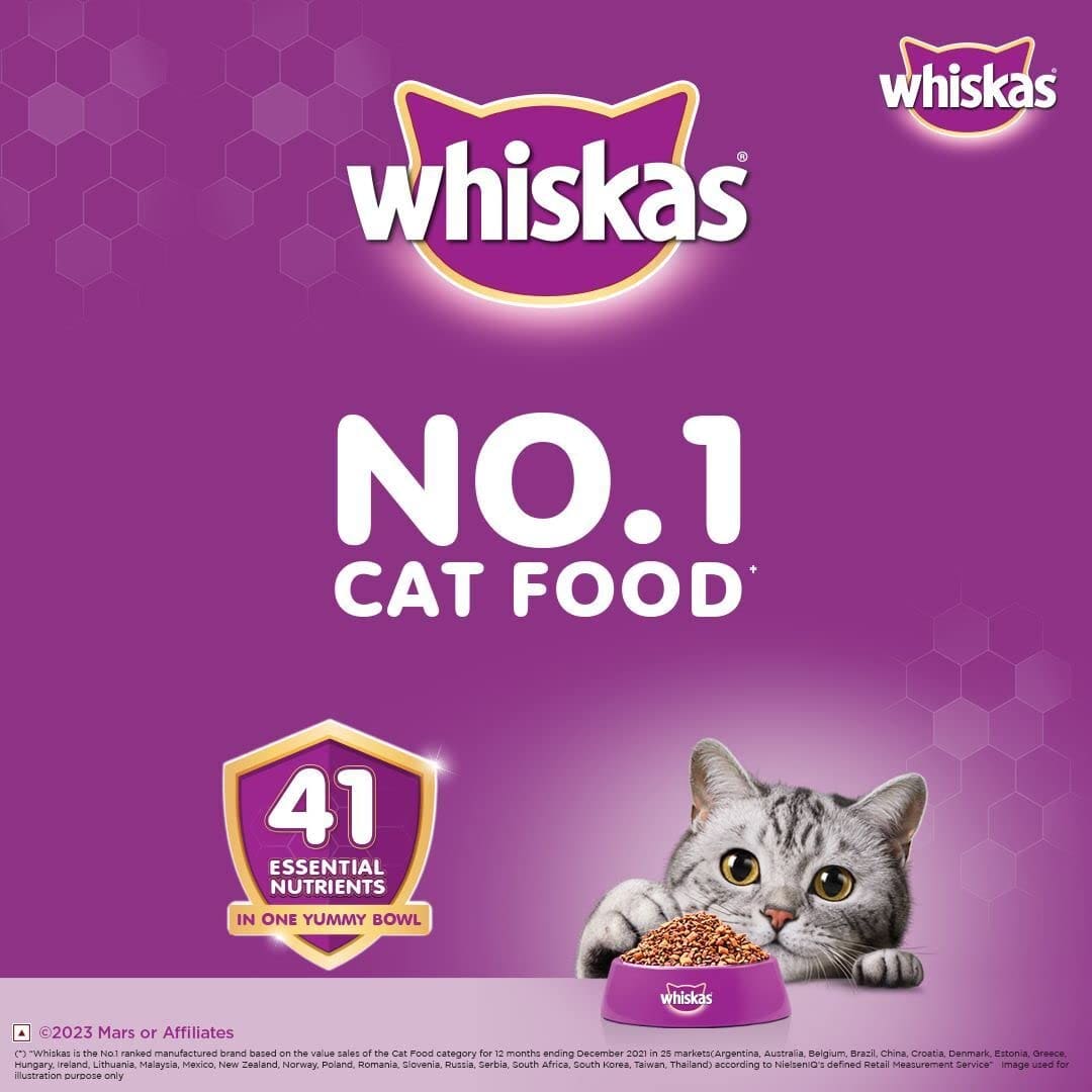 Whiskas Kitten (2-12 months), Mackerel Flavour, 1.1kg