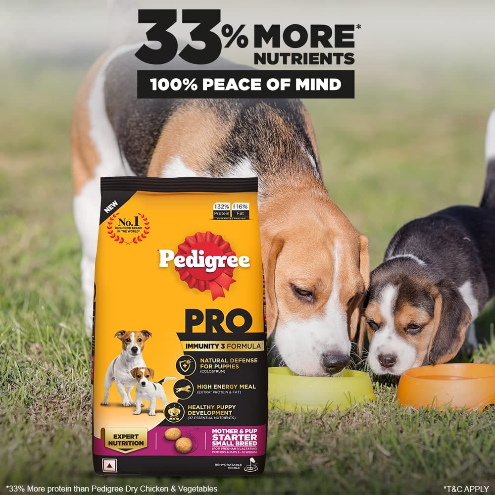 Pedigree Pro Starter Small Breed, Chicken Dry Dog Food, 1.2Kg