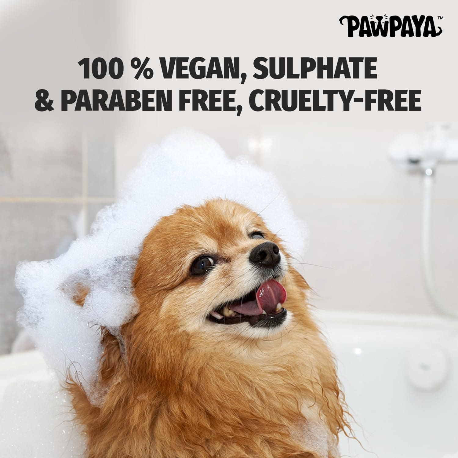 Pawpaya Short Coat Dog Shampoo, 250 ml