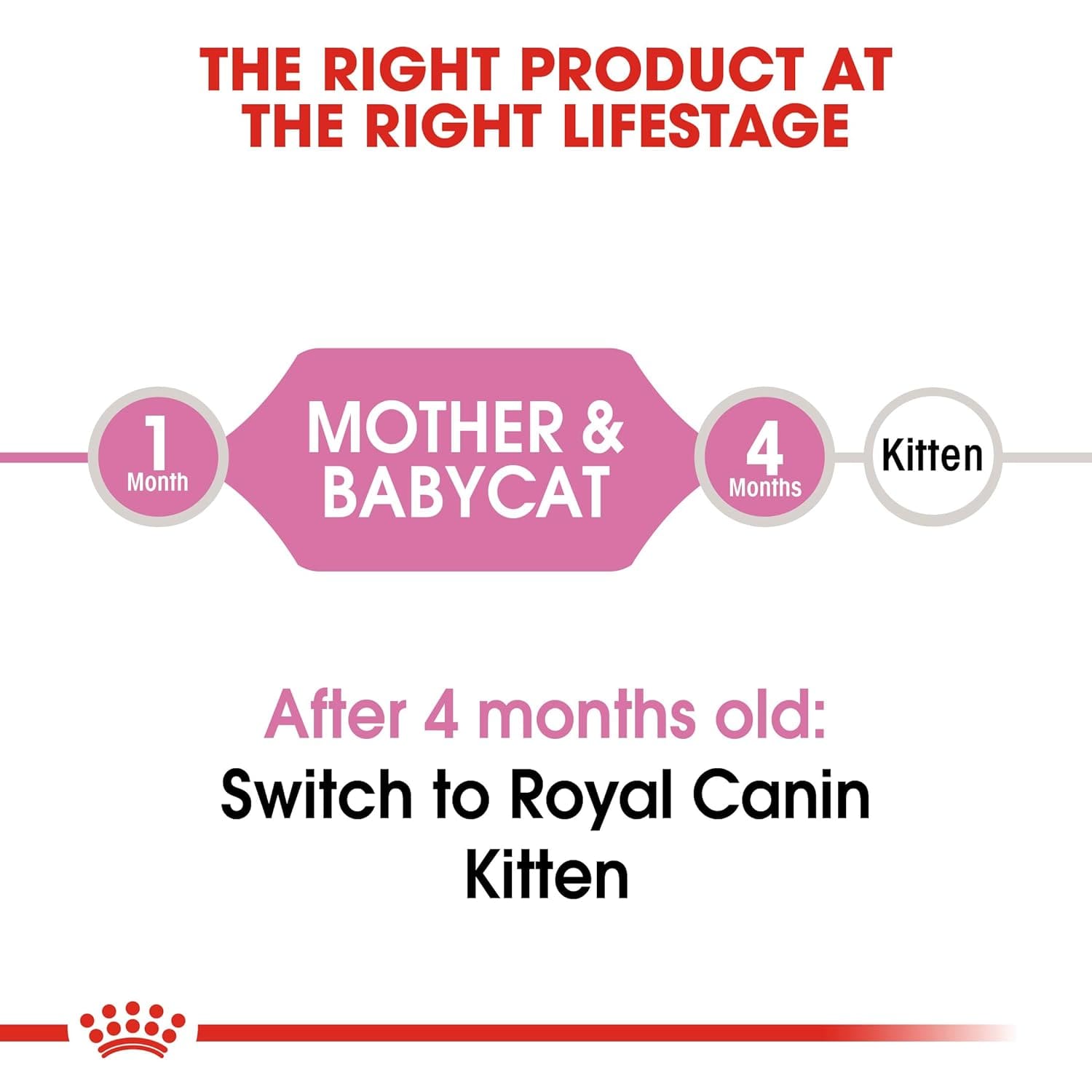 Royal Canin Mother & Baby Dry Cat Food, Meat Flavor, 2kg