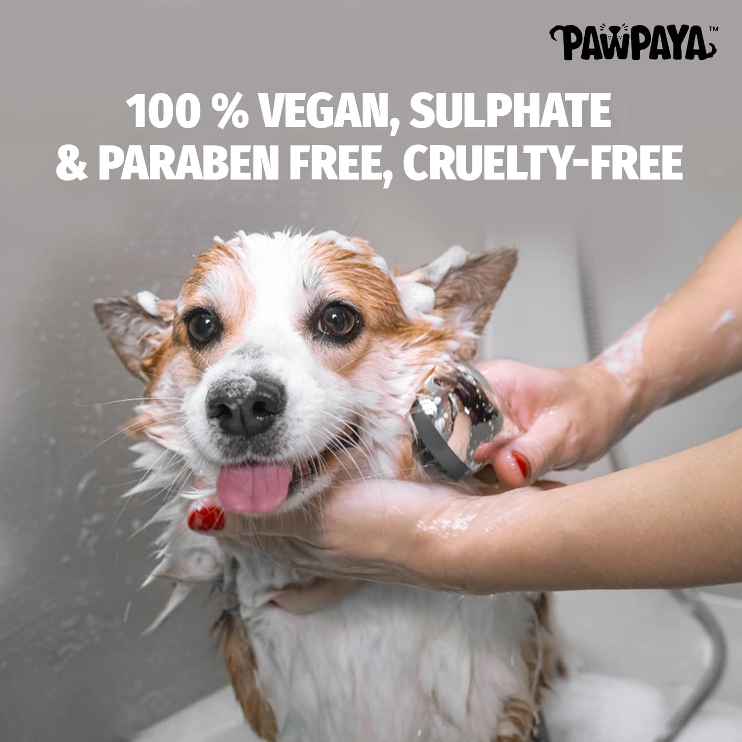 Pawpaya Long Coat Dog Shampoo, 250ml