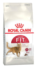 Royal Canin Regular Fit 32, 2kg