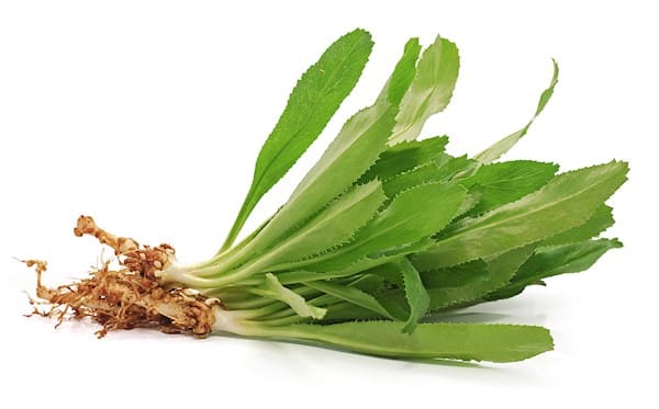 Local Corainder Leaf, 2 Bunch