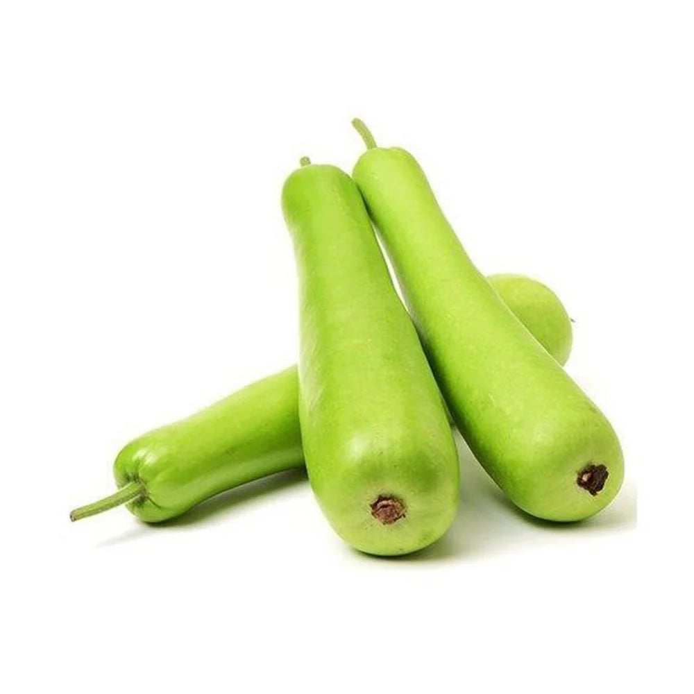 Bottle Gourd, 1pc