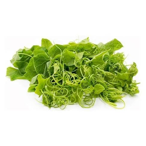 Chayote (Squash) Leaf, Bunch
