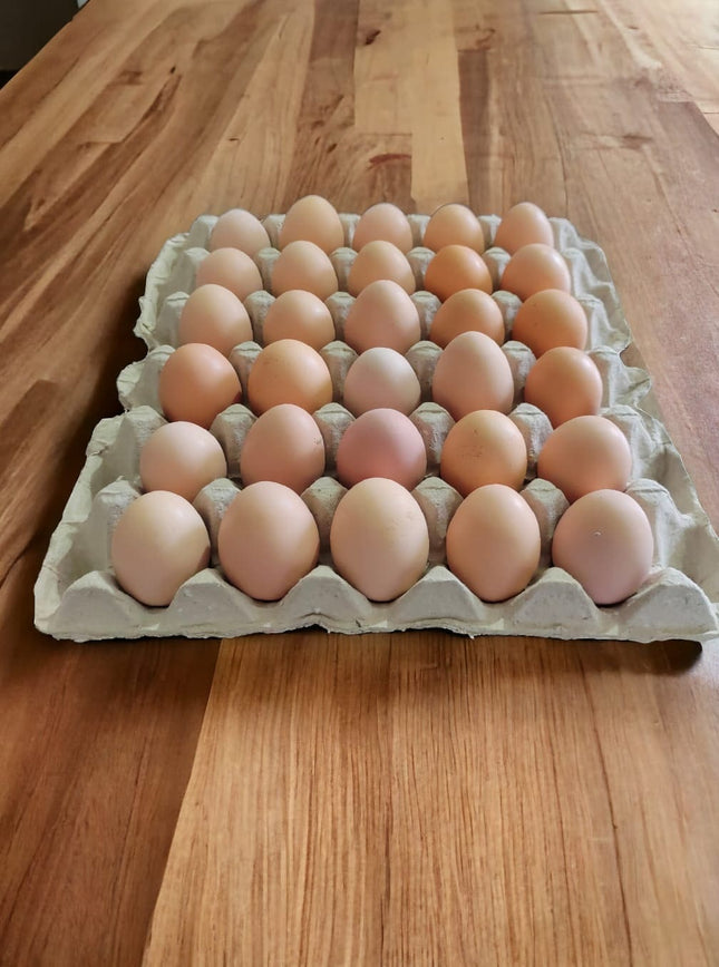 Local Brown Egg, 1 set (30 pc)
