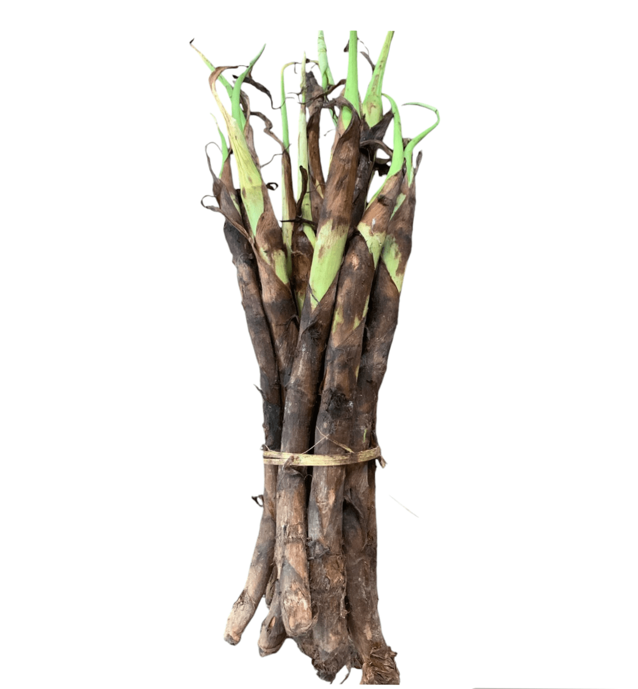 Wokha Local Yam, 1 Bunch