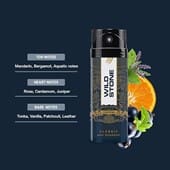 Wild Stone Classic Cologne Deodorant for Men, 160ml