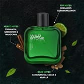 Wild Stone Forest Spice Premium Perfume for Men, 50ml