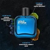 Wild Stone Hydra Energy Premium Parfum for Men, 50ml