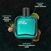 Wild Stone Edge Premium Perfume for Men, 50ml