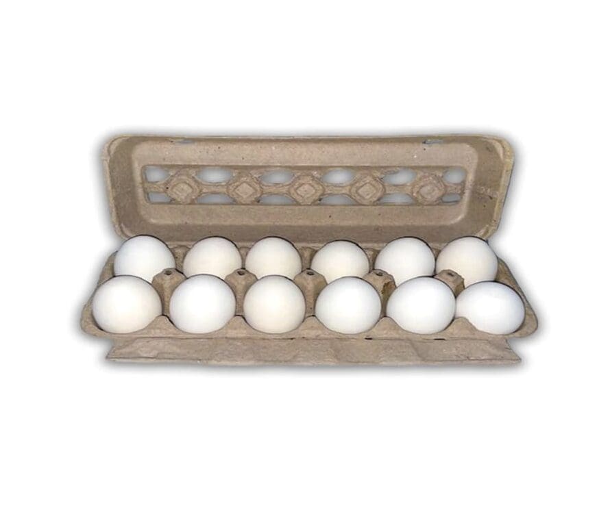 Eggs (WHITE), 12 pc