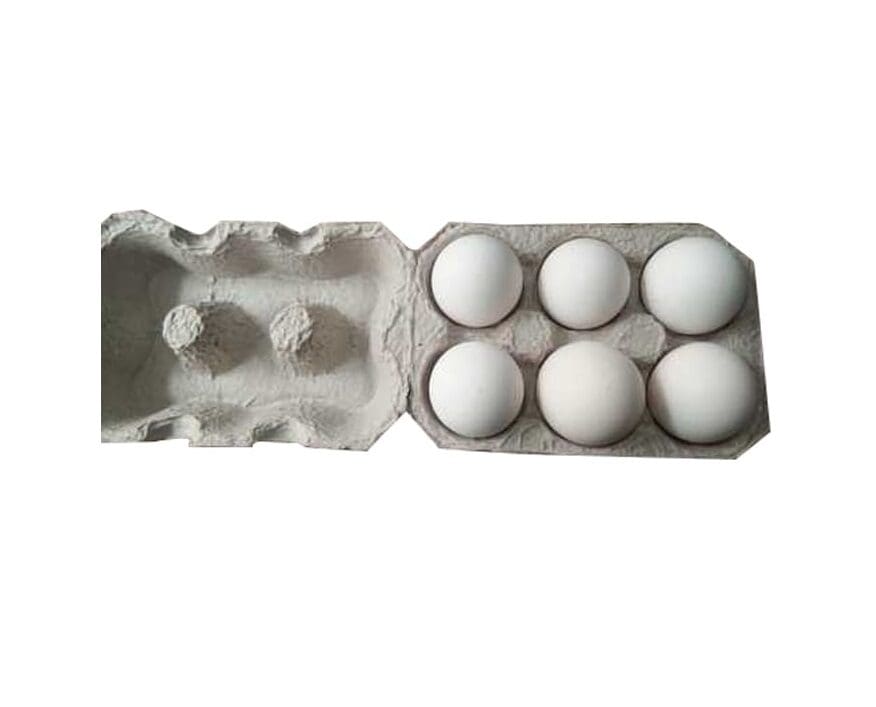 Eggs (White), 6 pc