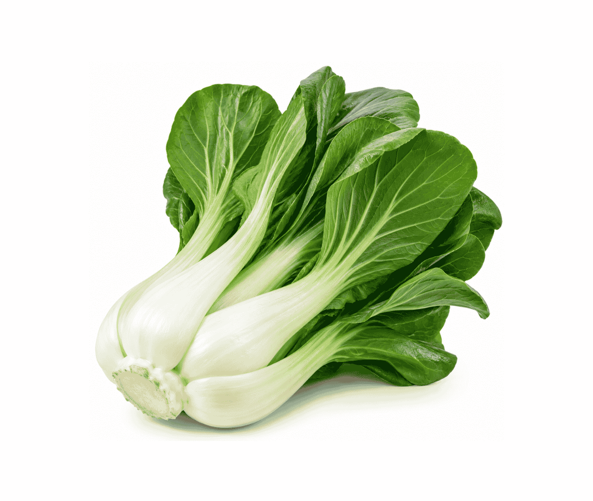 Bok Choy - 1 Kg