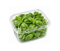 Thai Basil Leave - 100g