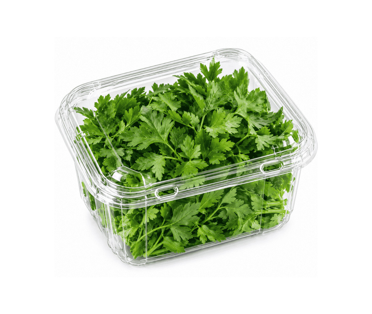 Parsley Leaves - 100g