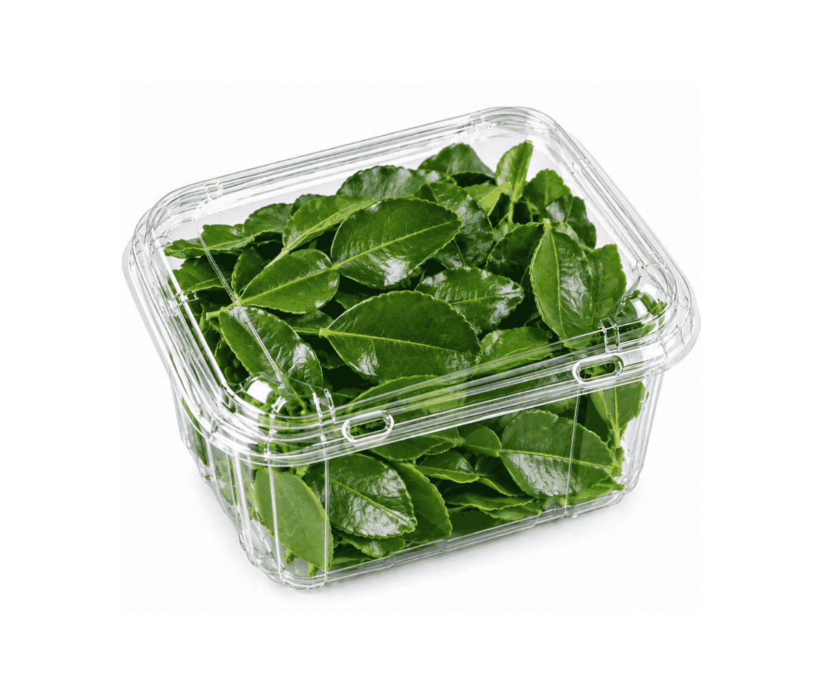 Kaffir Lime Leave - 100